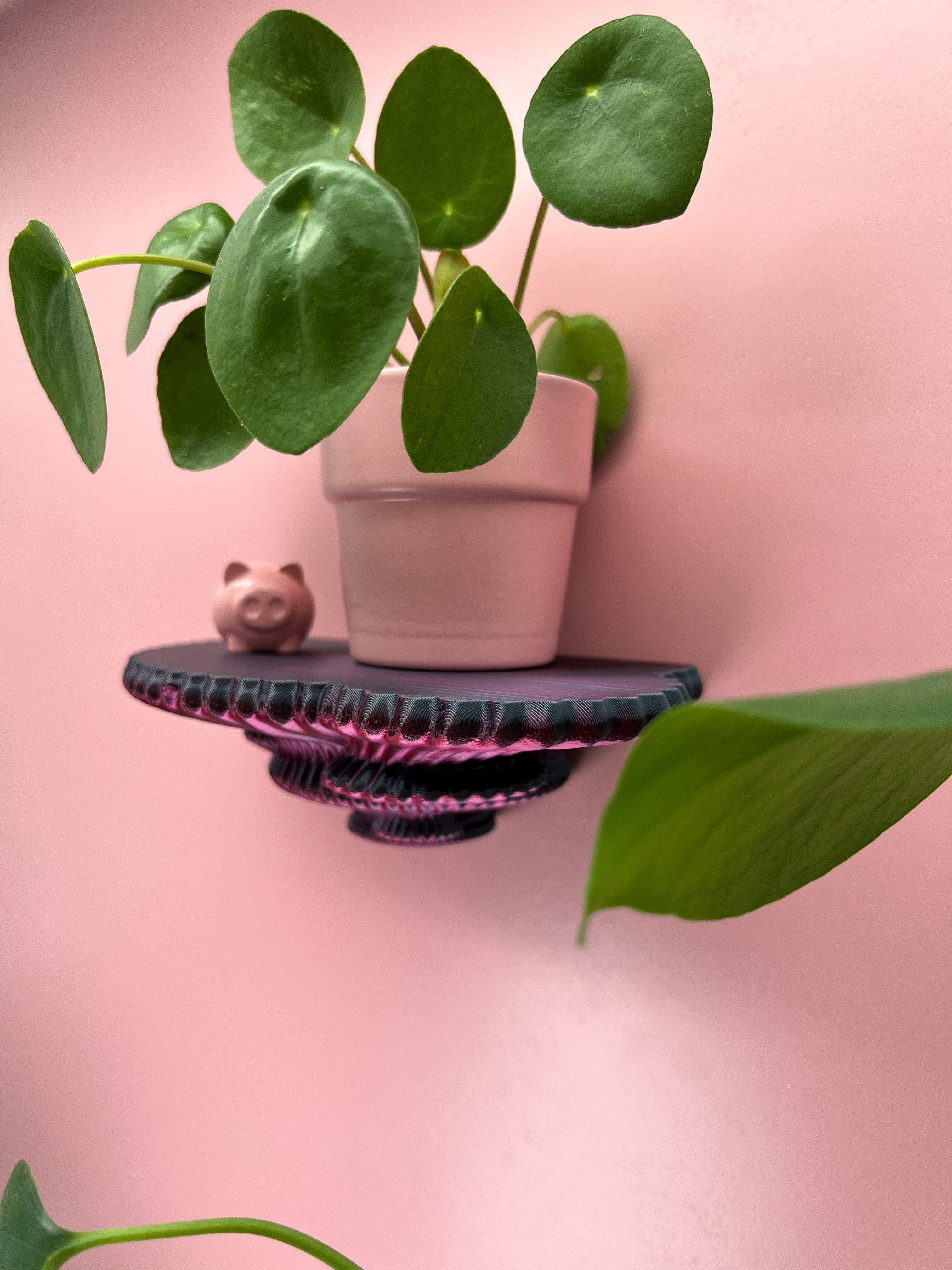 Roomberry Deko-Wandregal Schwebendes Beerenpilz Wandregal, Stilvolles Deko-Wandregal, M/L/XL, Hergestellt in unserer eigenen 3D-Druck Manufaktur in Heidelberg