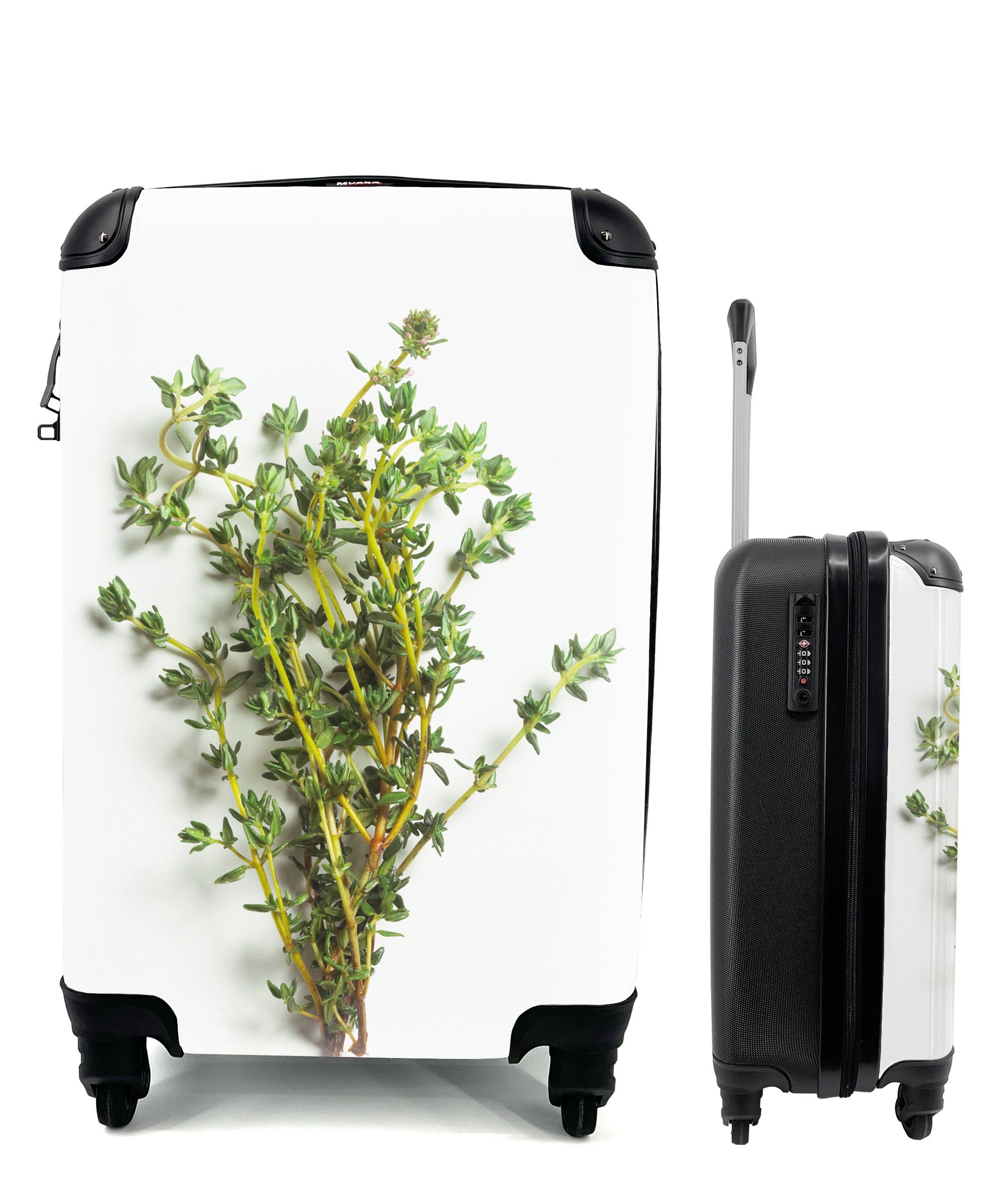 Reisetasche Handgepäckkoffer Reisekoffer MuchoWow Trolley, mit 4 Ferien, Rollen, auf Handgepäck für frischer Hintergrund, weißem Thymiankräuter rollen, Strauß