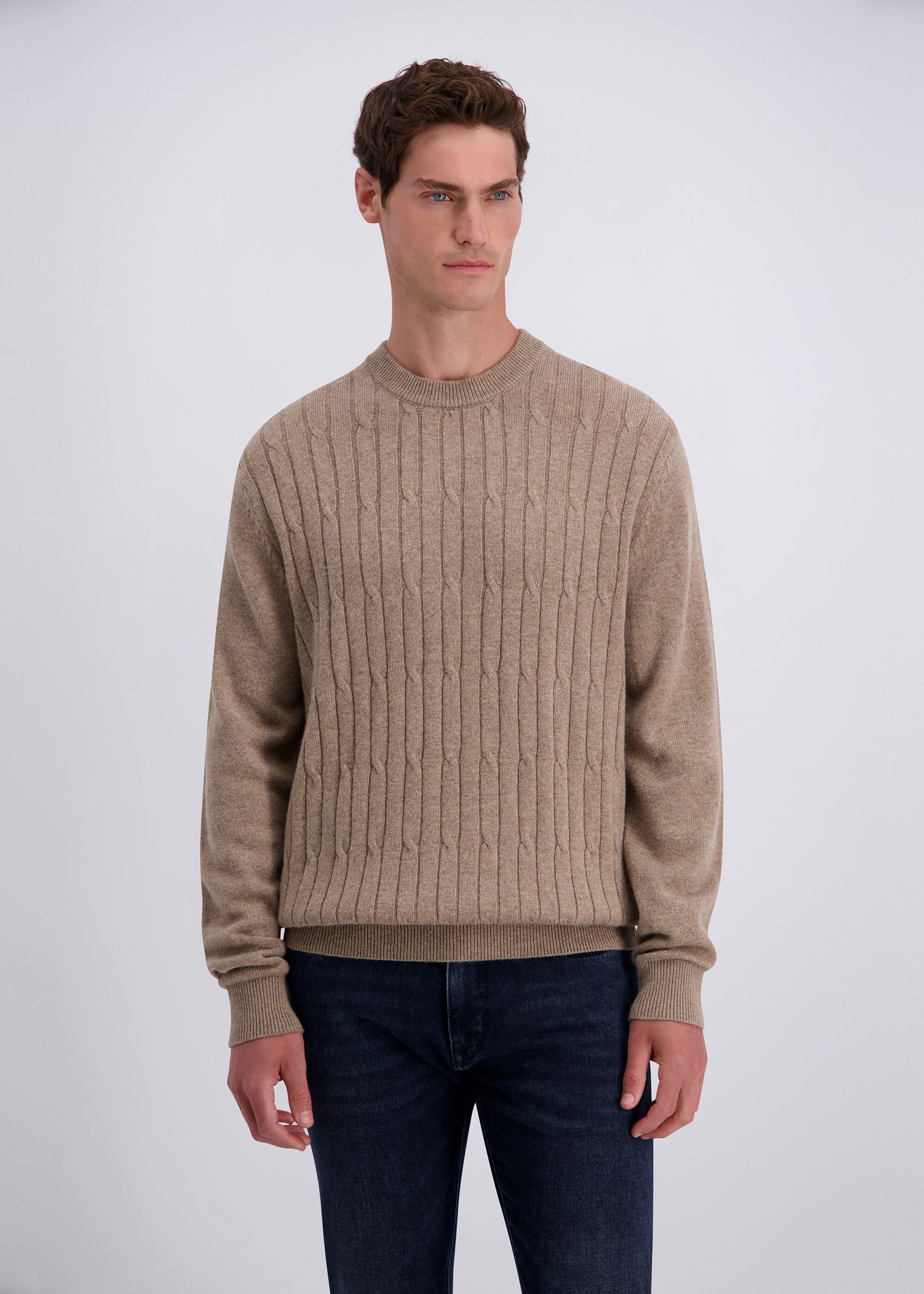 Pierre Cardin Strickpullover aus einer Wollmischung