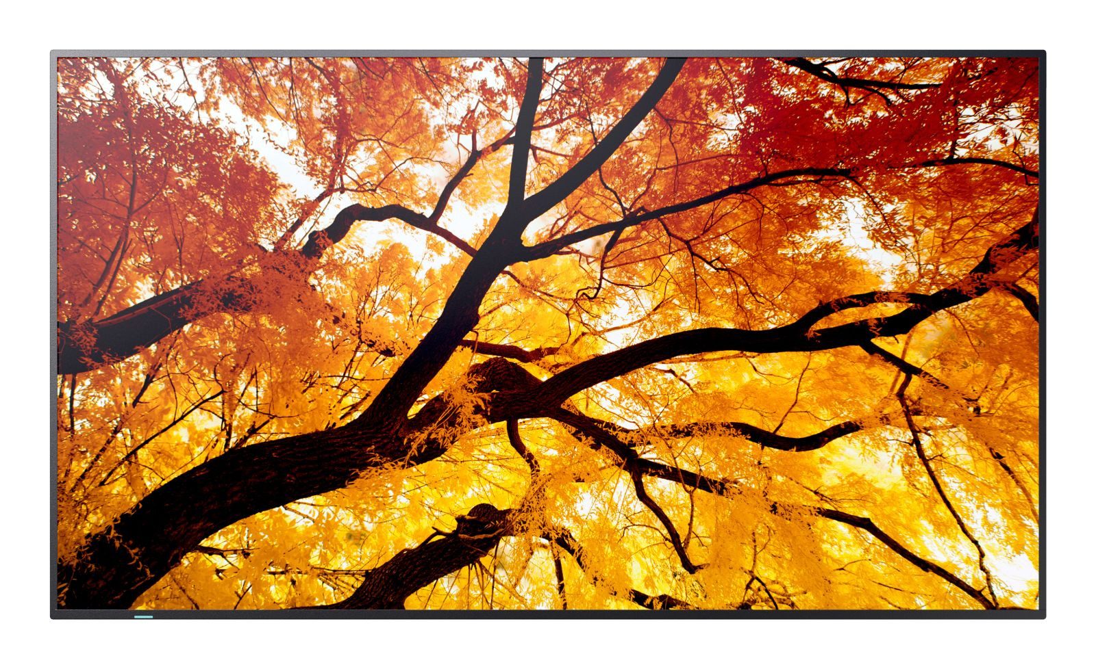 Sharp M502 50IN LFD UHD 550CD/M2 D-L BACKLIGHT 24/7 PROOF SDM SLOT CM TFT-Monitor (3840 x 2160 px, 4K Ultra HD, VA, Lautsprecher)