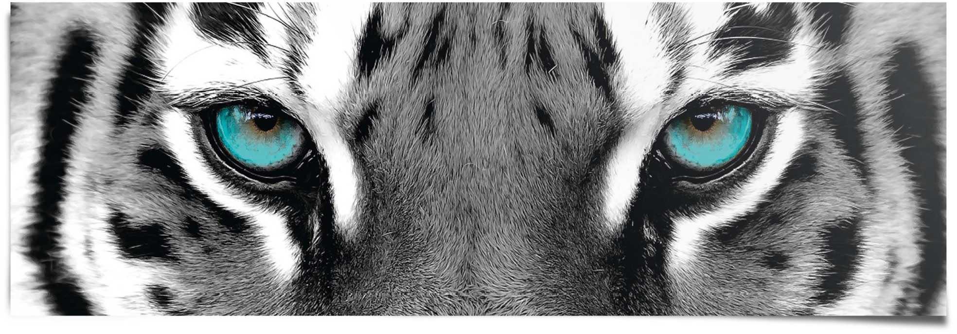 Reinders! Tiger Sibirischer Poster