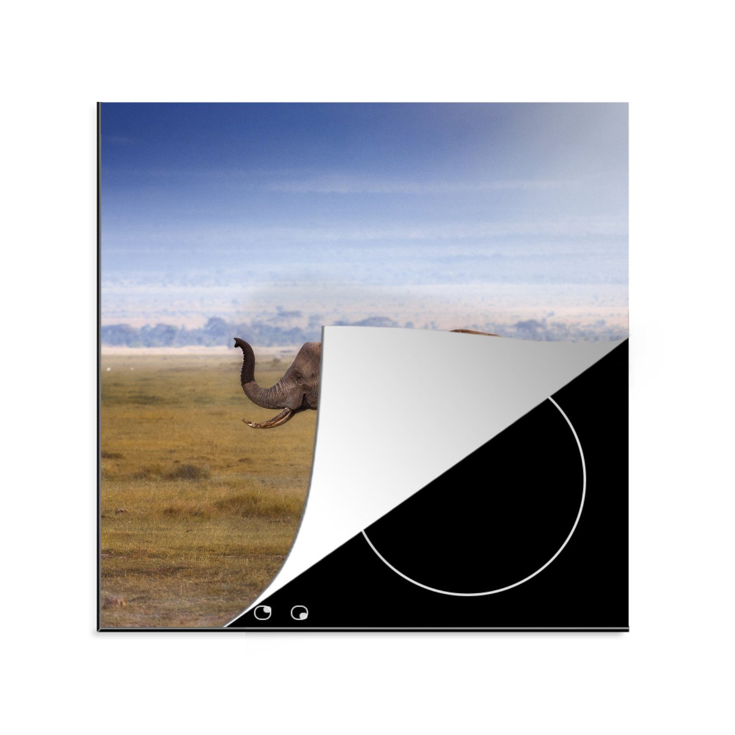 MuchoWow Herdblende-/Abdeckplatte Nasse Pfoten eines Elefantenbabys und seiner Mutter, Vinyl, (1 tlg), 78x78 cm, Ceranfeldabdeckung, Arbeitsplatte für küche