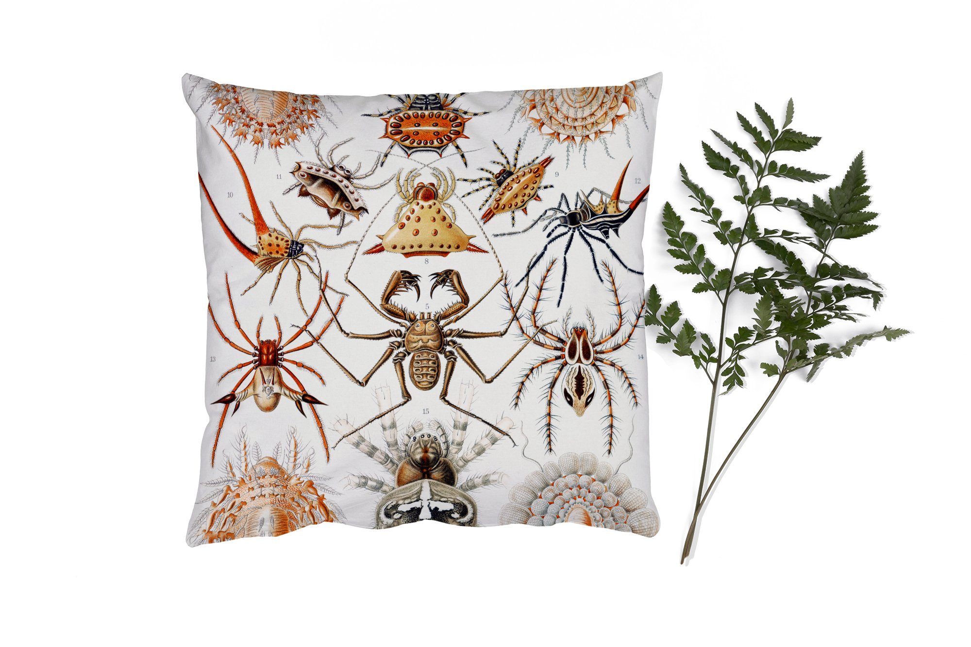 MuchoWow Dekokissen Retro - Spinne - Ernst Haeckel - Spinnen, Zierkissen mit Füllung für Wohzimmer, Schlafzimmer, Deko, Sofakissen