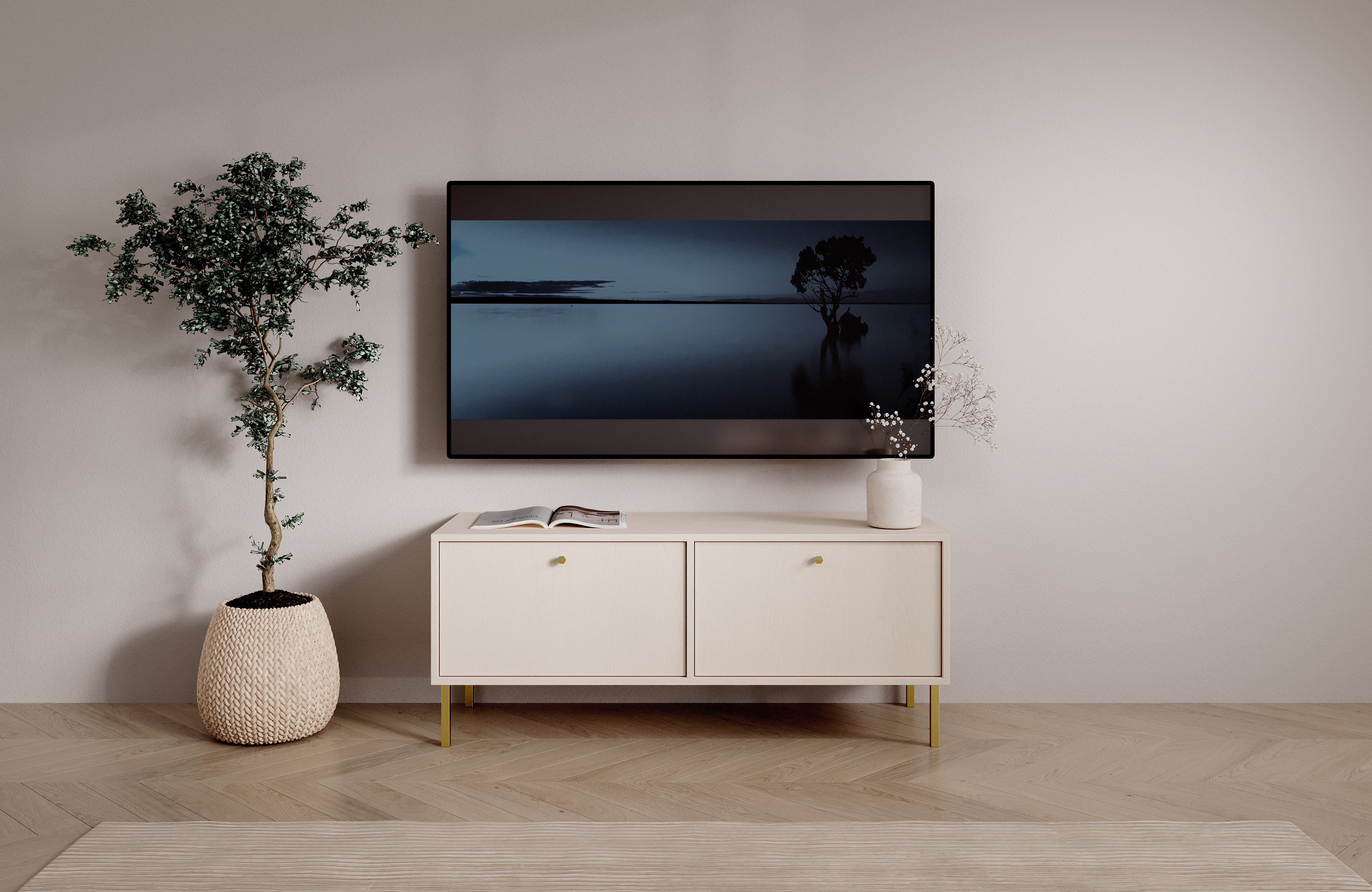 MOEBLO TV-Board TV-Schrank FREYA 2D (Modernes Lowboard mit 2 Türen & 2 Fächern, 120 cm, Lowboard Fernsehtisch TV Bank TV Tisch Fernseher Tisch TV Möbel), (BxHxT): 120,6 x 50 x 40,8 cm