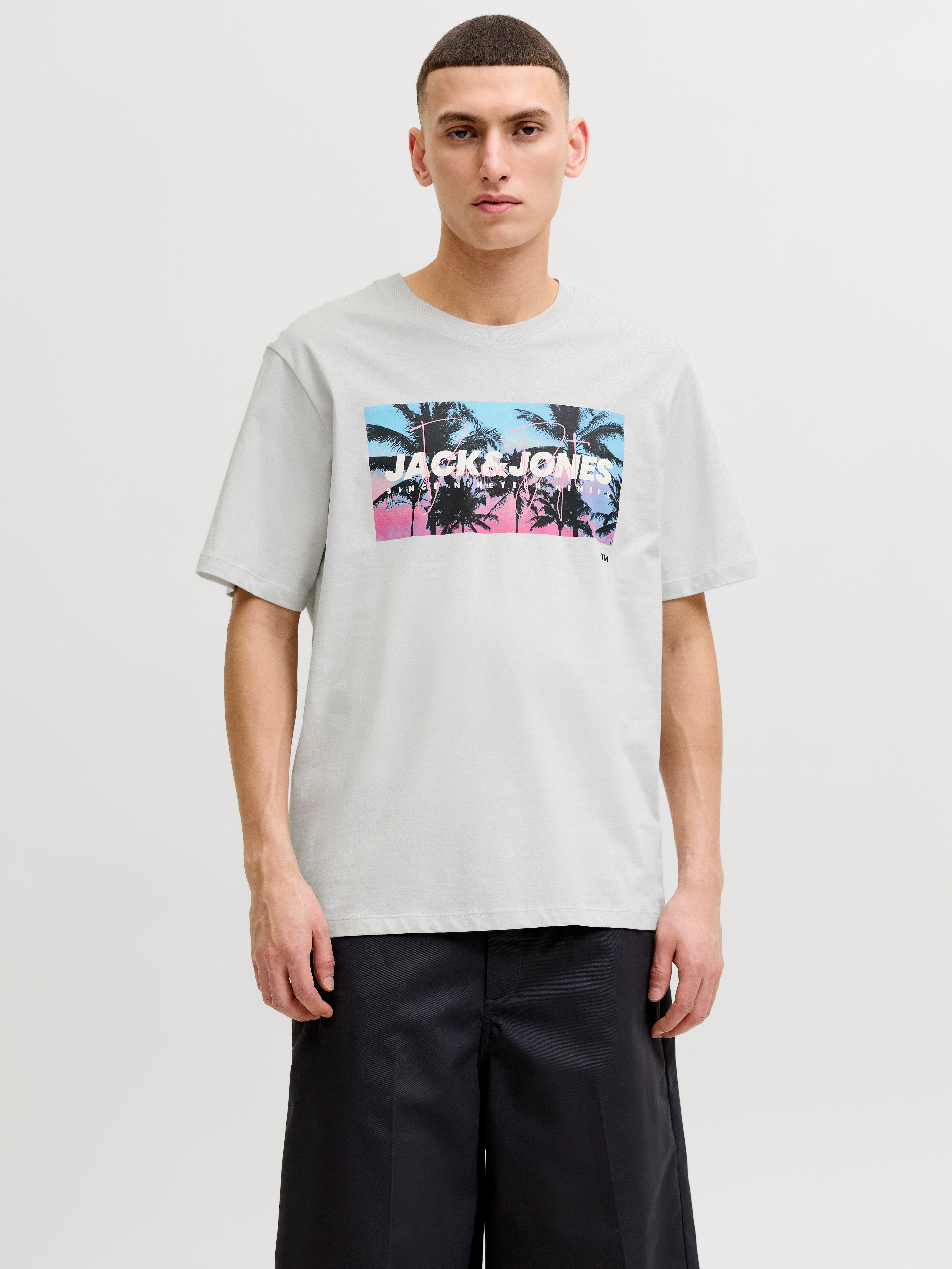 Jack & Jones Rundhalsshirt JJINDIANA TEE SS CREW NECK