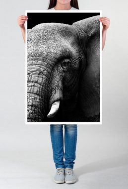 Sinus Art Poster 60x90cm Tierfotografie Poster Großer Elefantenkopf schwarz weiß