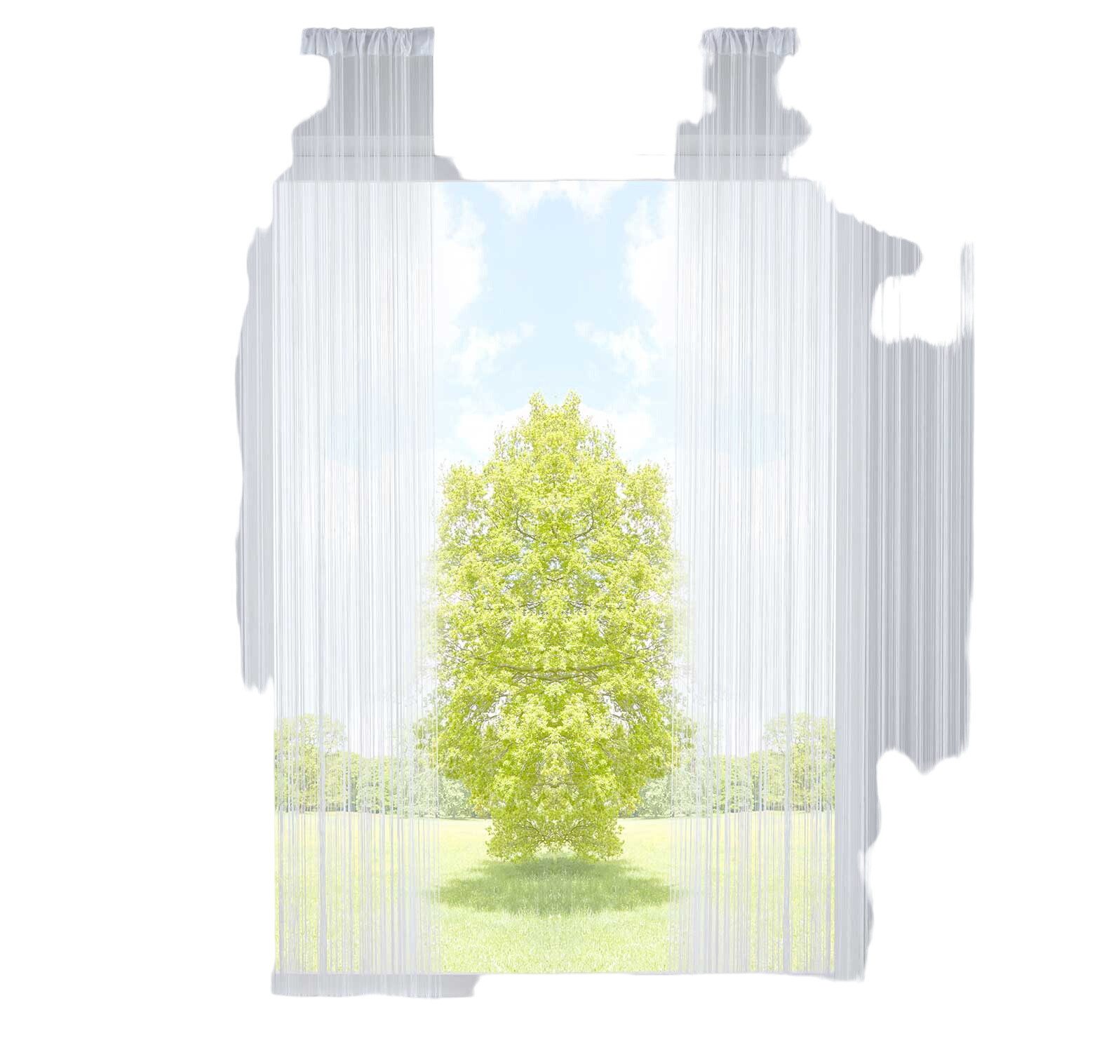 Gardinenbox Gardine, Kräuselband (2 St), transparent, günstig online kaufen
