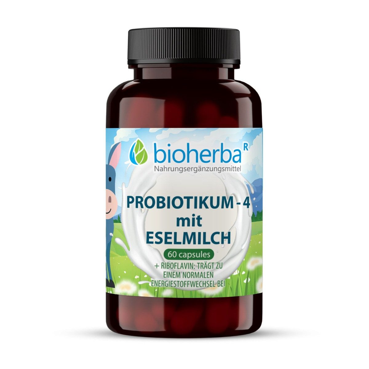 Probiotikum 4 mit Eselsmilch 60 Kapseln Kapseln