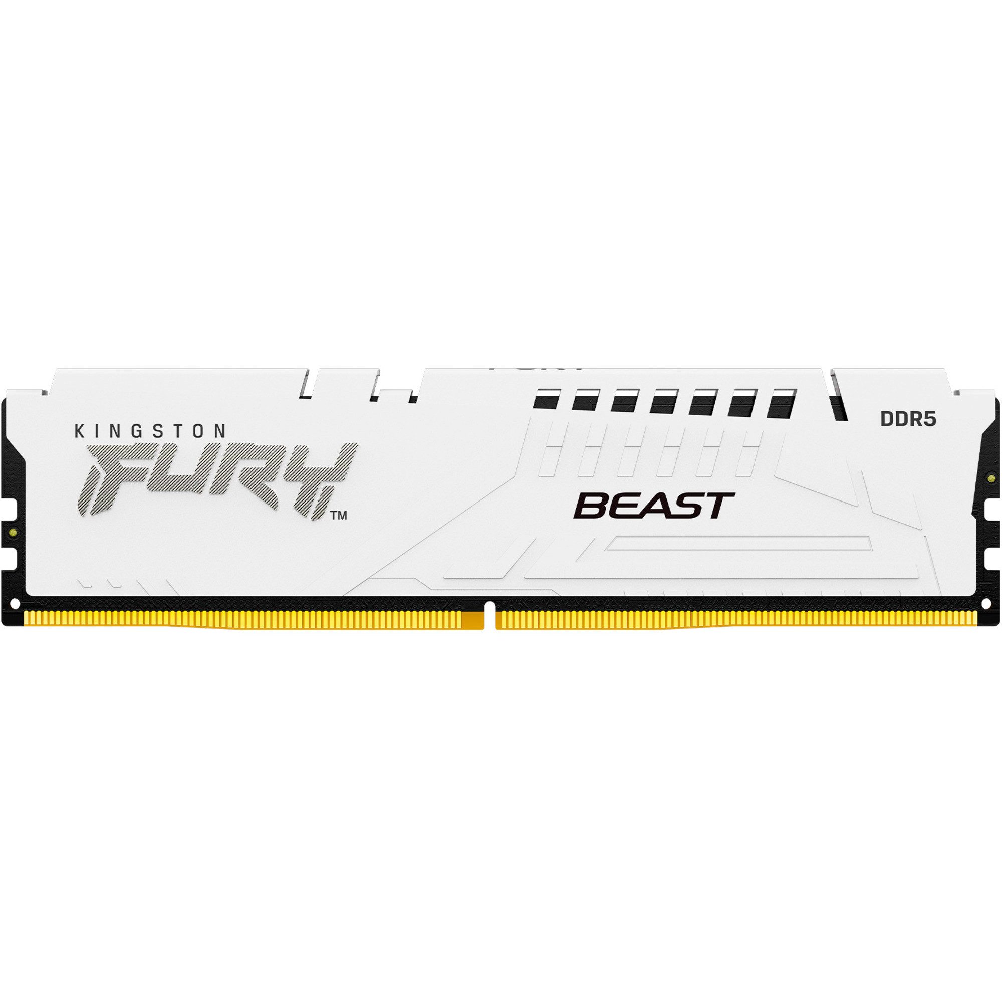 Kingston FURY DIMM 32 GB DDR5-6000, Arbeitsspeicher