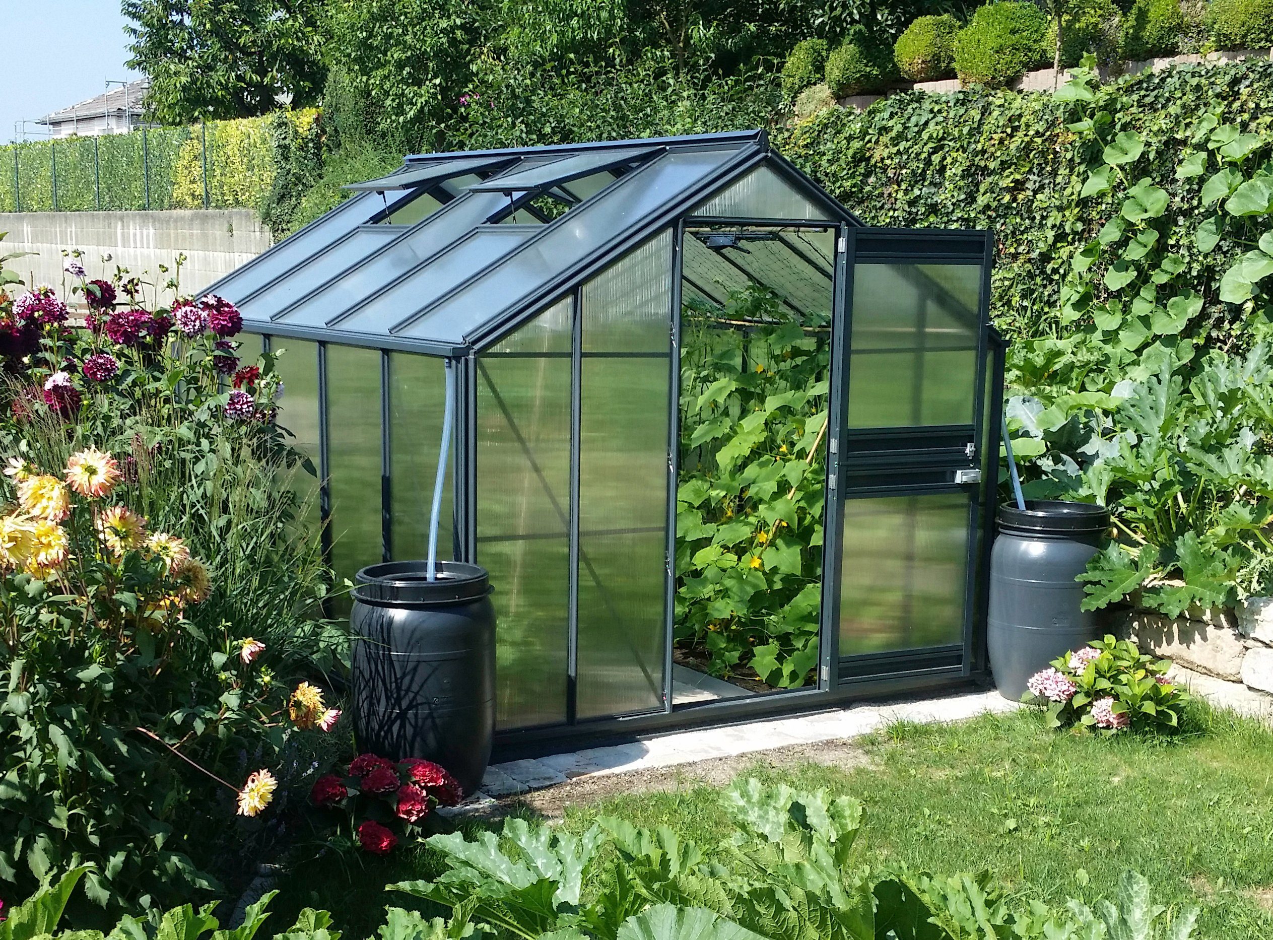 Beckmann Gewachshaus Allgau A8 Bxt 256x319 Cm Anthrazit Online Kaufen Otto