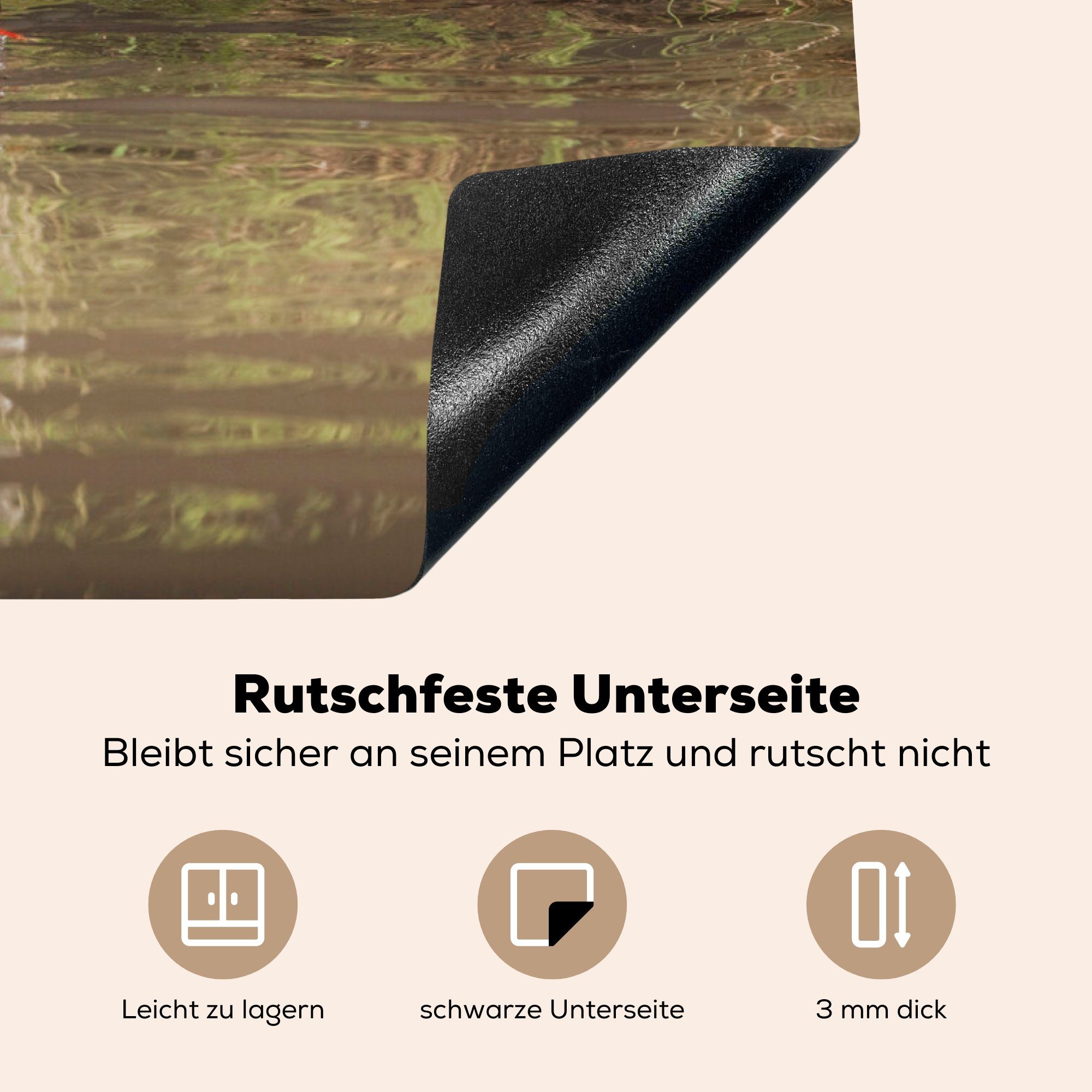 MuchoWow Herdblende-/Abdeckplatte Waschbär - die Fisch (1 küche, tlg), Vinyl, Induktionskochfeld - Schutz cm, für Wasser, Ceranfeldabdeckung 81x52