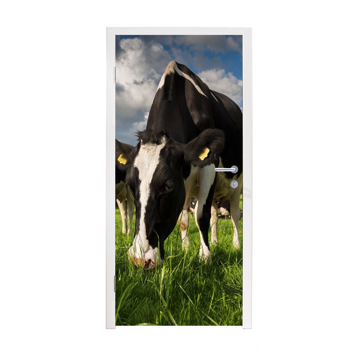 MuchoWow Türtapete Kuh - Natur - Gras - Tiere, Matt, bedruckt, (1 St), Fototapete für Tür, Türaufkleber, 75x205 cm