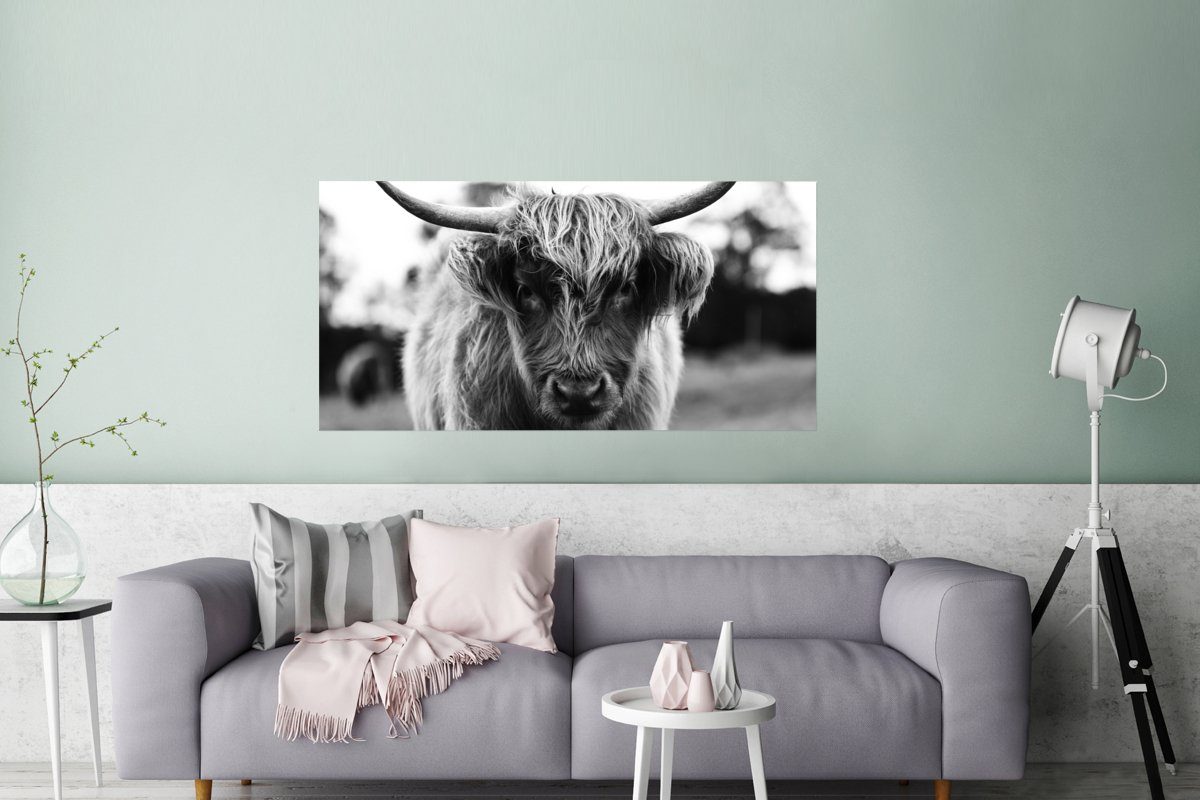 St), - Natur, Gras Highlander - Poster Kuh - Wanddeko Ohne Wandposter, Schlafzimmer, Schottischer Tiere Bild MuchoWow (1 - Wohnzimmer, für Rahmen,
