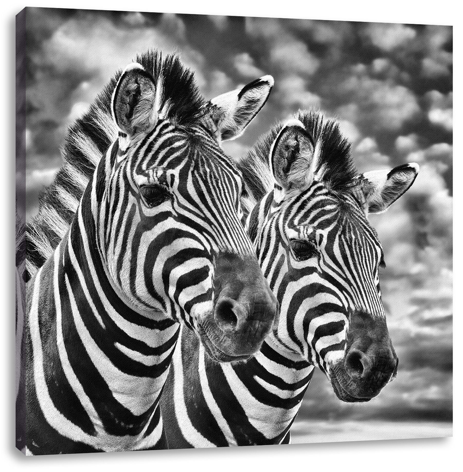 Pixxprint bespannt, (1 St), Leinwandbild Pärchen, Zackenaufhänger inkl. Leinwandbild Zebra fertig Zebra Pärchen