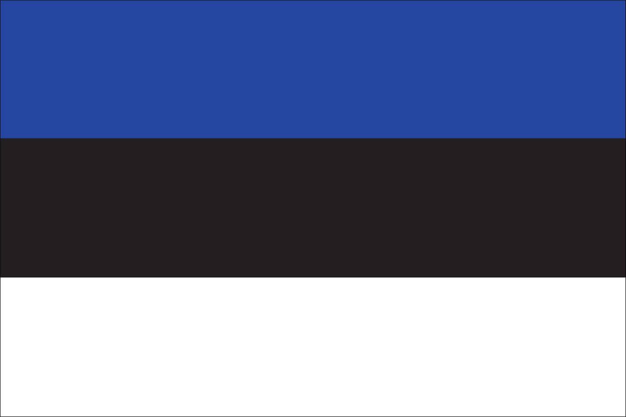 Estland Flagge Querformat Flagge g/m² 110 flaggenmeer