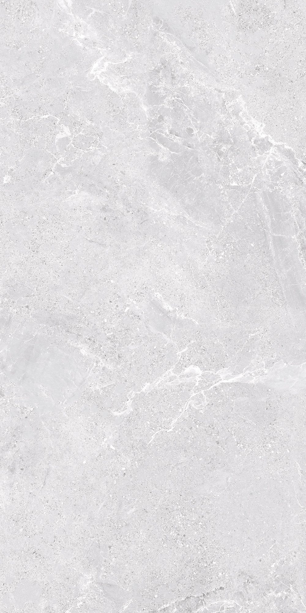 Bodenfliese 1 Paket (1,44 m) Fliesen TIVOLI GREY (60 × 120 cm), matt, grau, Bodengestaltung Badezimmer Bodenbelag Innen Im Haus Wohnideen