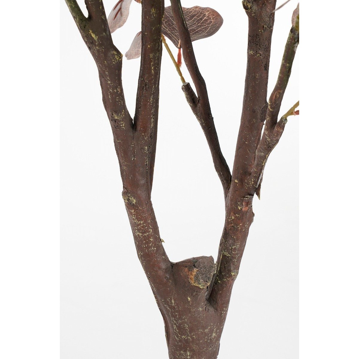 Kunstpflanze Mica Decorations Eucalyptus Baum In Topf bronze - h180xd80cm, Mica Decorations, Höhe 180 cm – Bild 4 von 4