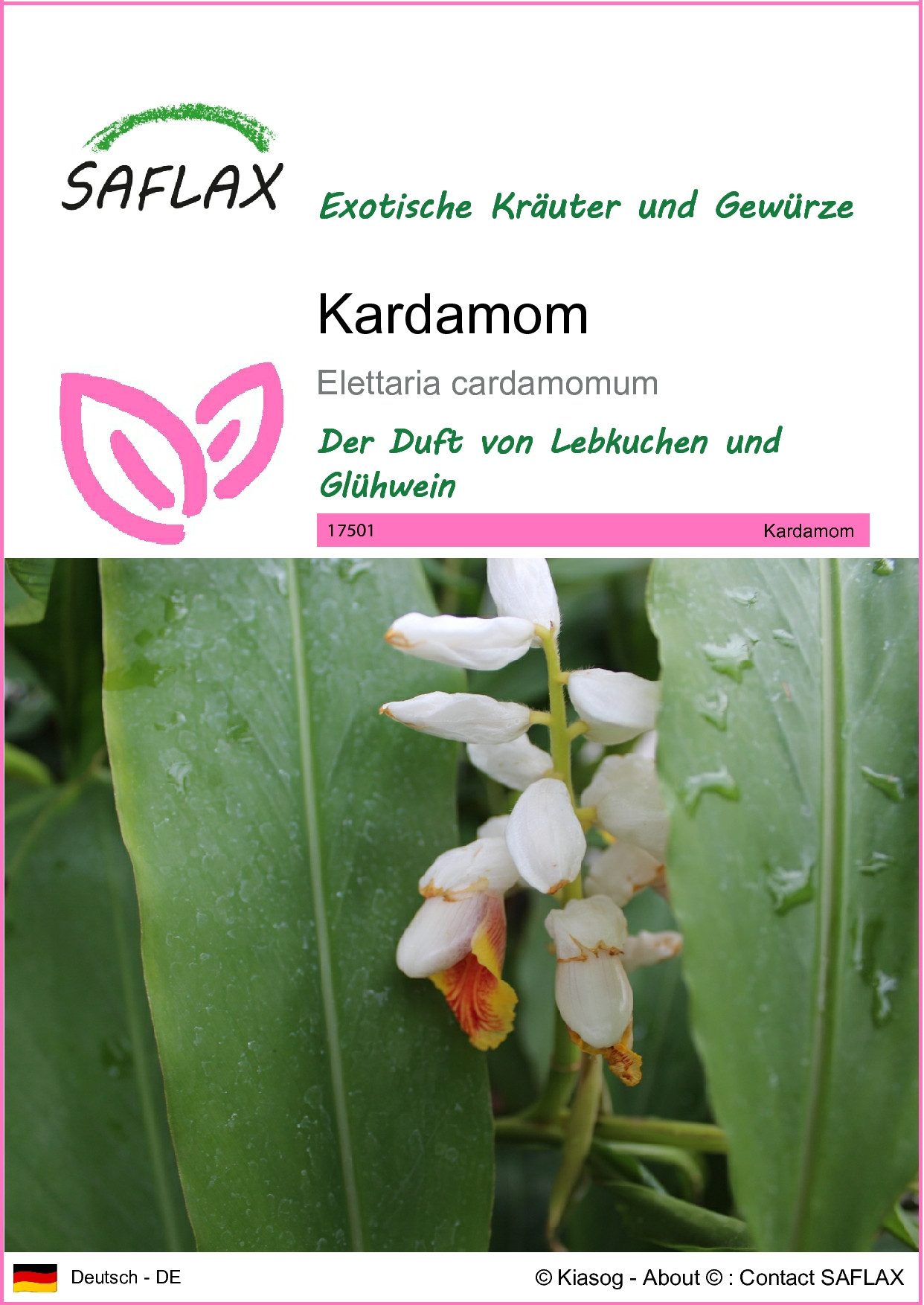 SAFLAX Kräutersamen SAFLAX - Samen - Kardamom