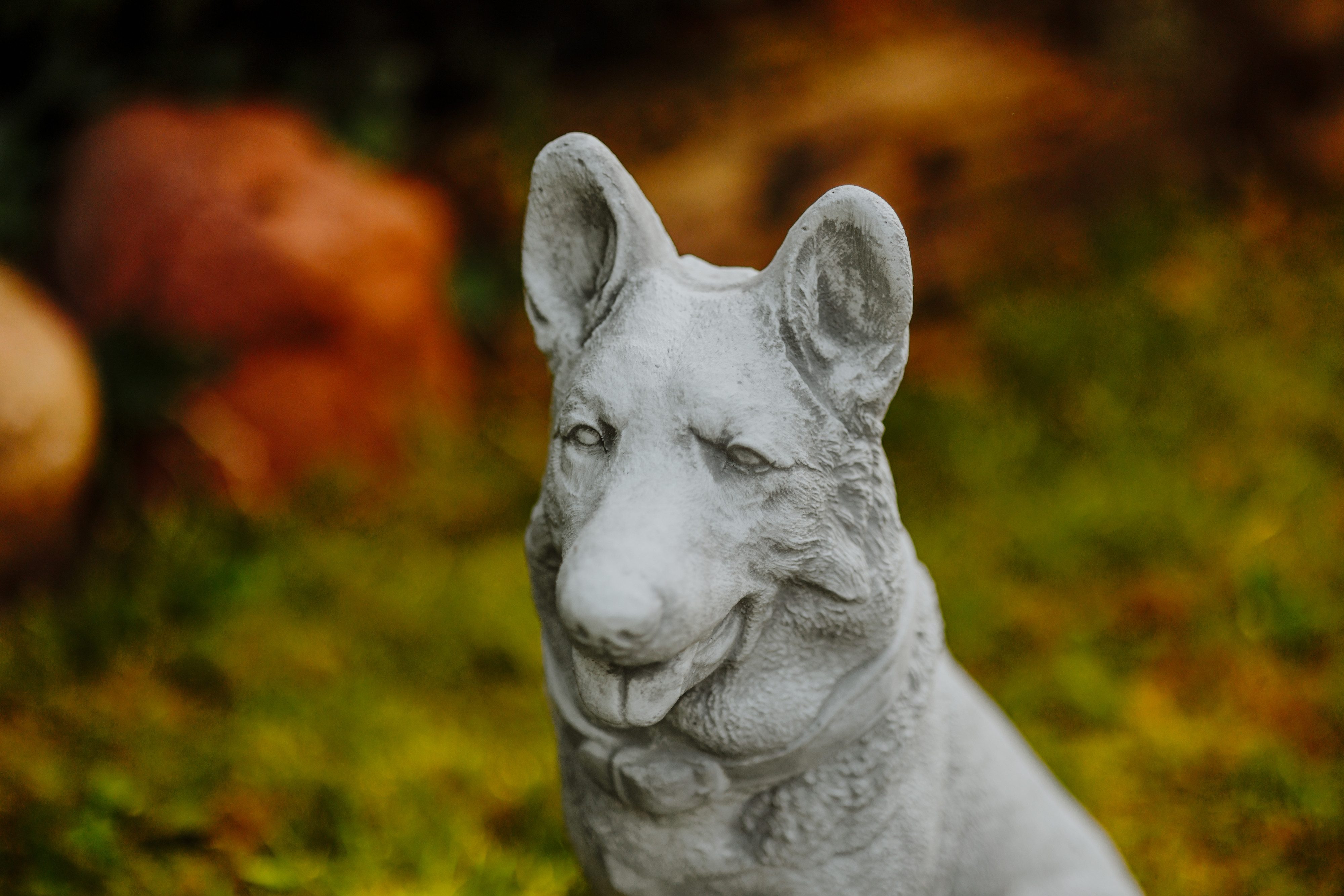gartendekoparadies.de Gartenfigur Deutscher Schäferhund, Steinfigur, H. 42 cm, 17 kg, Frostsicher
