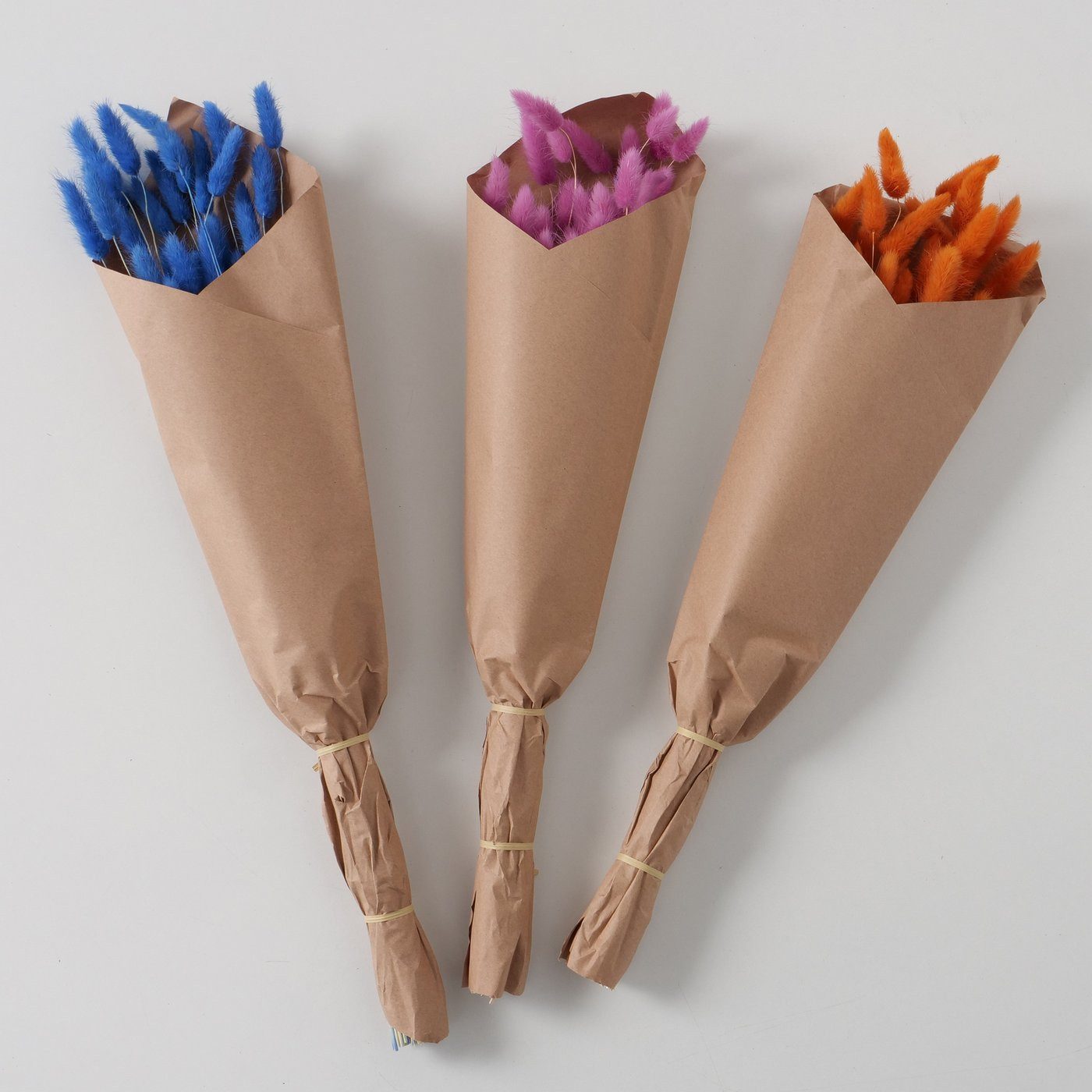 Trockenblume 3er-Pack Samtgras, Dekozweige, echte getrocknete Blumen, BOLTZE