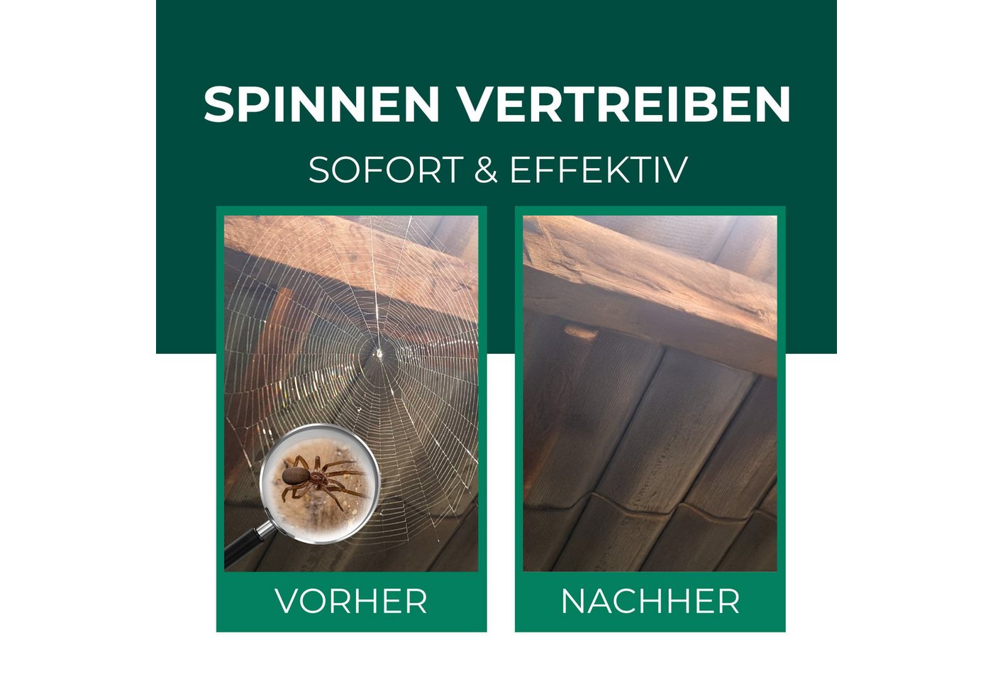 Thumbnail - Silberkraft Insektenspray Silberkraft Spinnenspray gegen Spinnen in Haus, Wohnung & Garten, 1000.0 ml, 2-St., Langzeitwi...