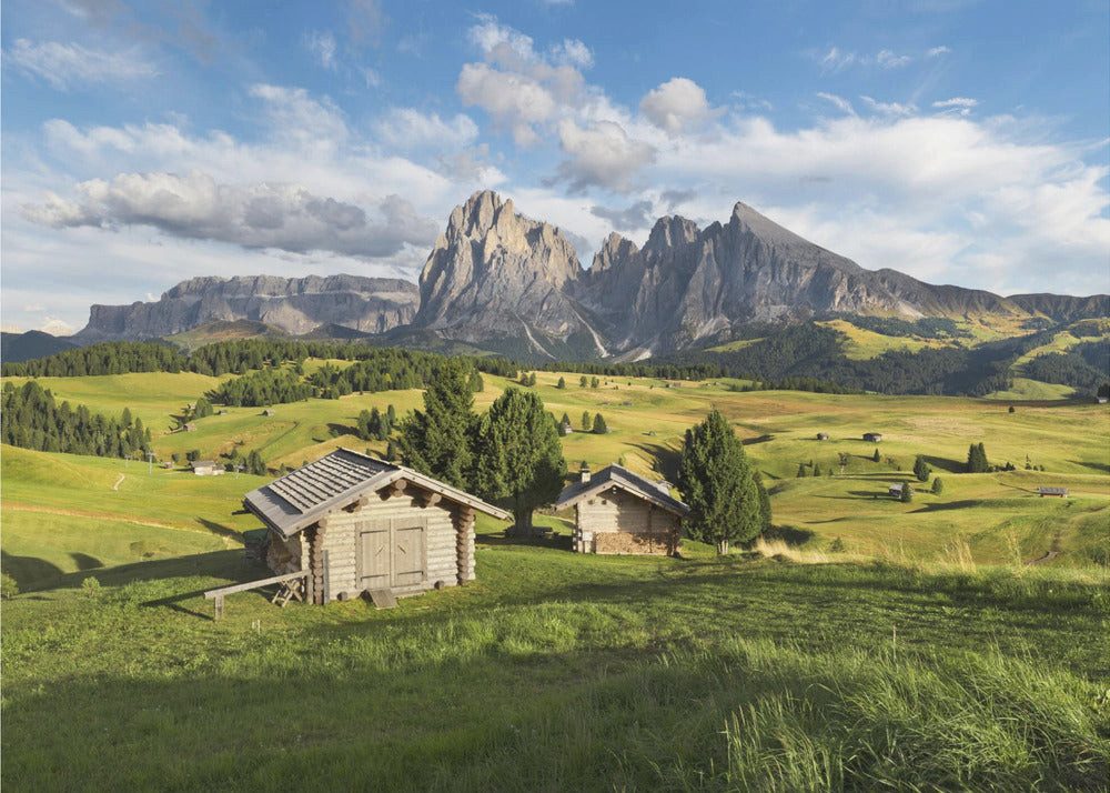Vliestapete "Paradise Day" von Stefan Hefele