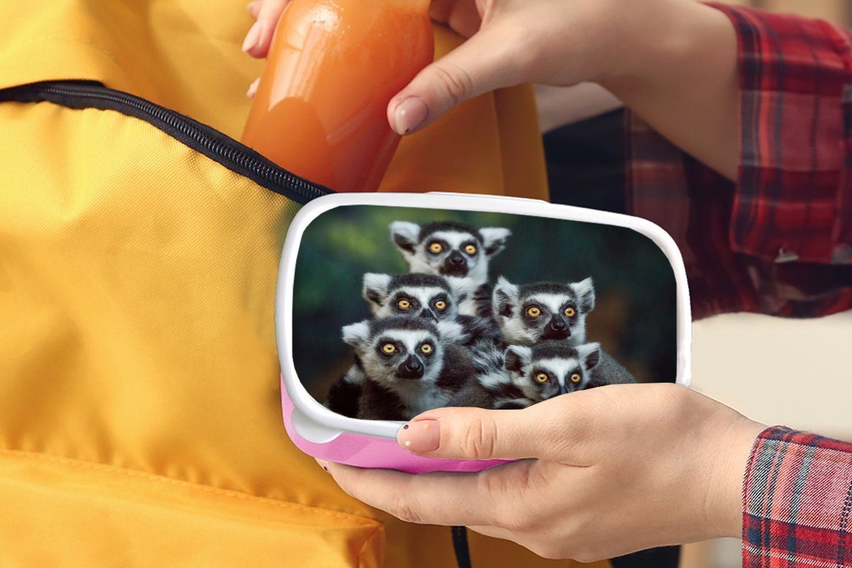 MuchoWow Lunchbox Affen - - Brotdose Tiere für Kunststoff, Mädchen, Erwachsene, Ringelschwanzlemuren, Brotbox (2-tlg), rosa Kinder, Kunststoff Snackbox