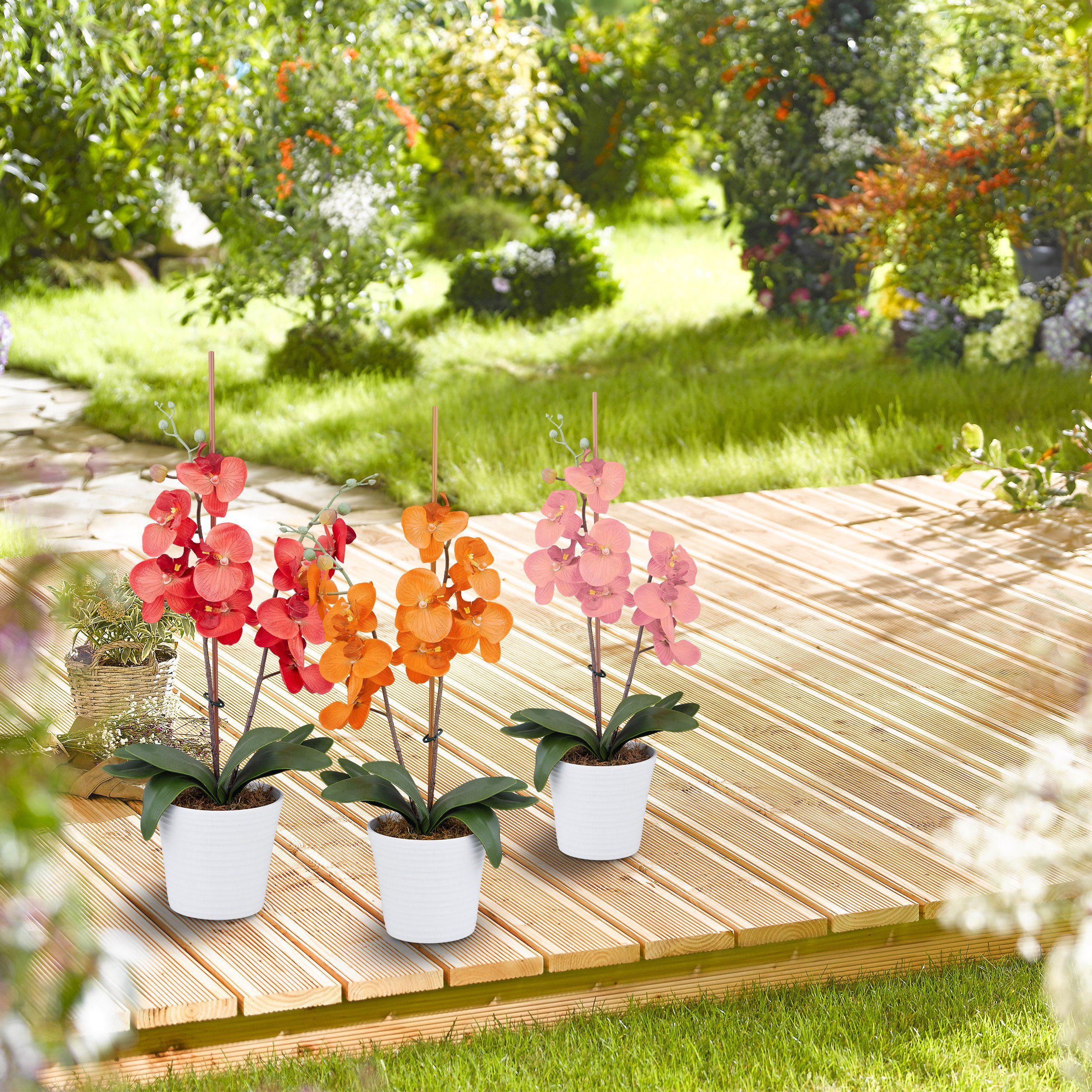 relaxdays Gartenpflege-Set Pflanzenringe 300er Set günstig online kaufen