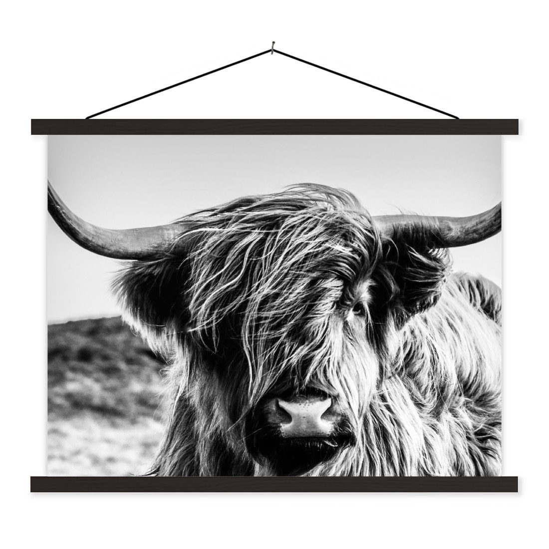 Poster Kuh - Schottischer Hochländer - Schwarz - Weiß - Tier - Natur - Wildti