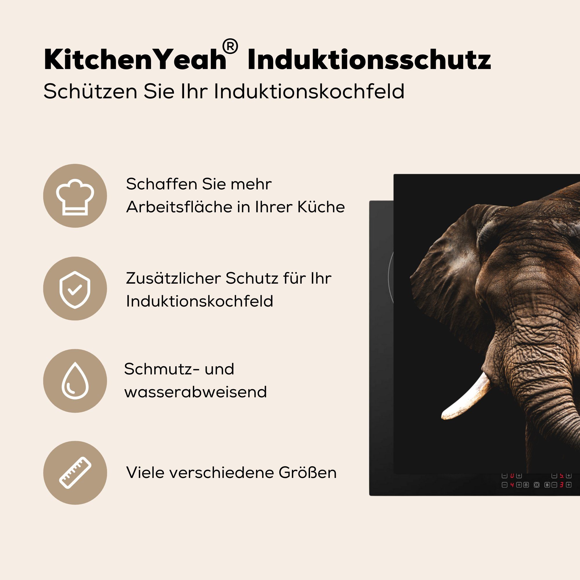 tlg), küche für - Elefant MuchoWow 78x78 Herdblende-/Abdeckplatte Arbeitsplatte (1 Zähne, cm, Vinyl, Ceranfeldabdeckung, - Papagei