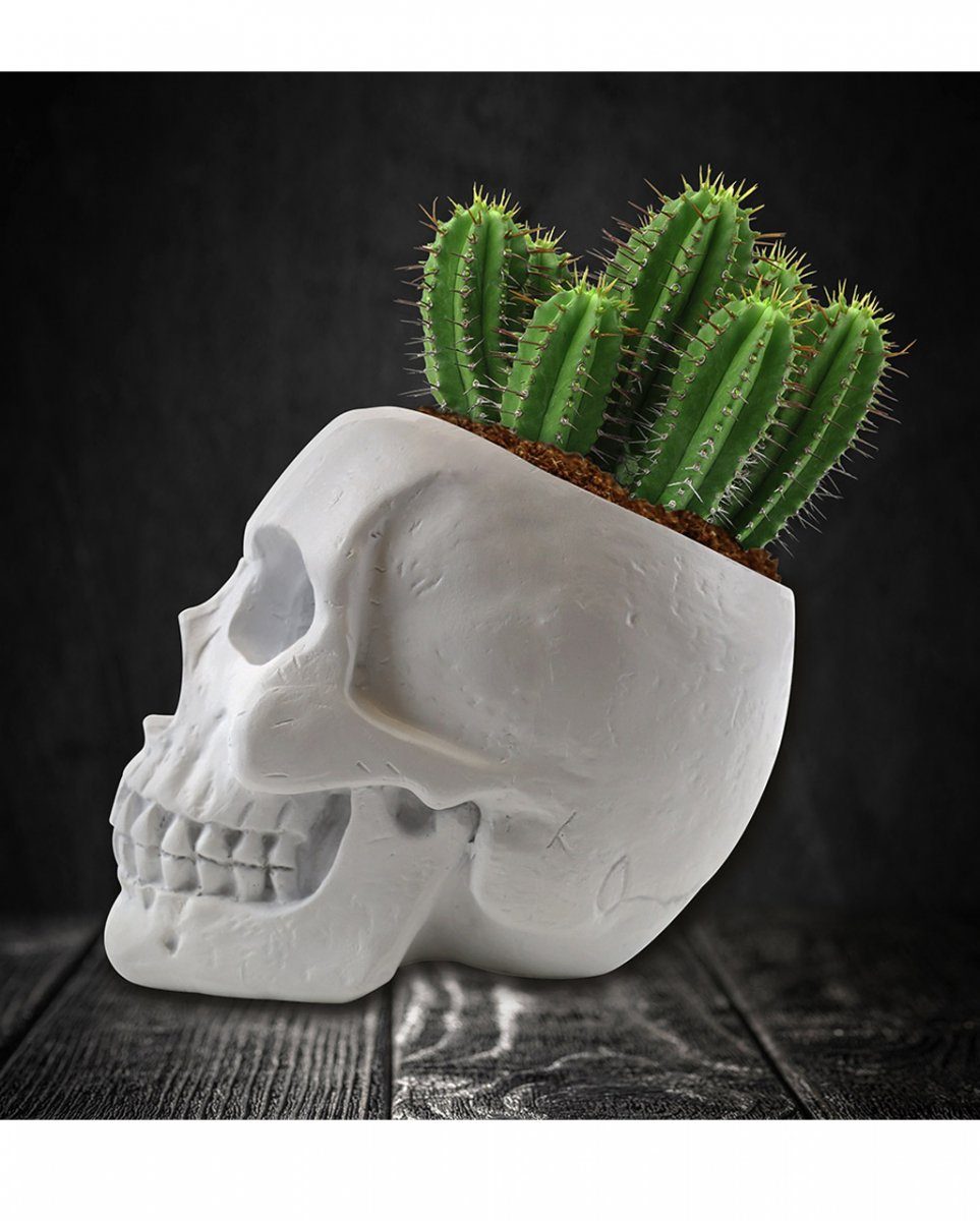 Horror-Shop Dekofigur Weißer Totenkopf Pflanzset mit Kaktus Samen