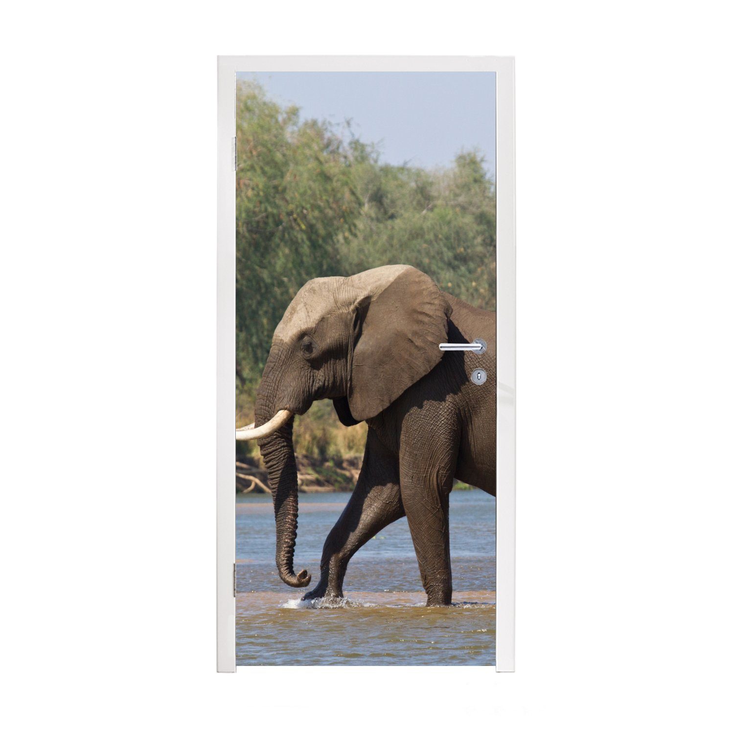 MuchoWow Türtapete Ein Elefant überquert den Sambesi-Fluss im Lower Zambezi National Park, Matt, bedruckt, (1 St), Fototapete für Tür, Türaufkleber, 75x205 cm