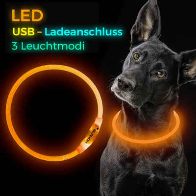 ELANOX Leuchthalsband LED Hundehalsband 5 Farben helle LED Größe anpassbar