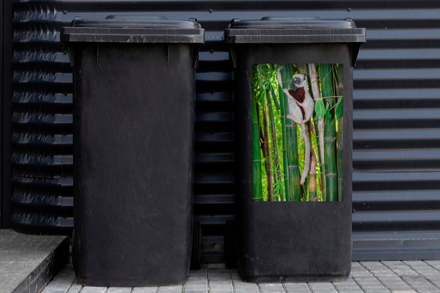 hängend St), Wandsticker Bambus Mülleimer-aufkleber, MuchoWow Abfalbehälter im (1 Sticker, Mülltonne, Lemuren-Affe Container,