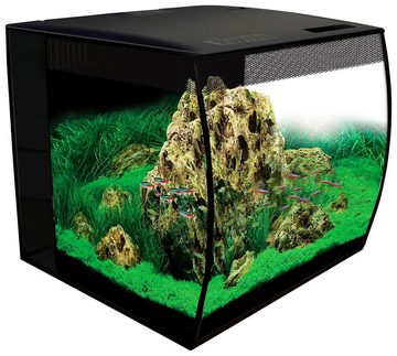 FLUVAL Aquarium »FL Flex«, BxTxH: 35x33x33 cm, 34 Liter, mit gebogener Frontscheibe