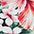LASCANA Bikini-Hose Salsa mit Zierringen und tollem Blumenprint – Bild 5 von 5
