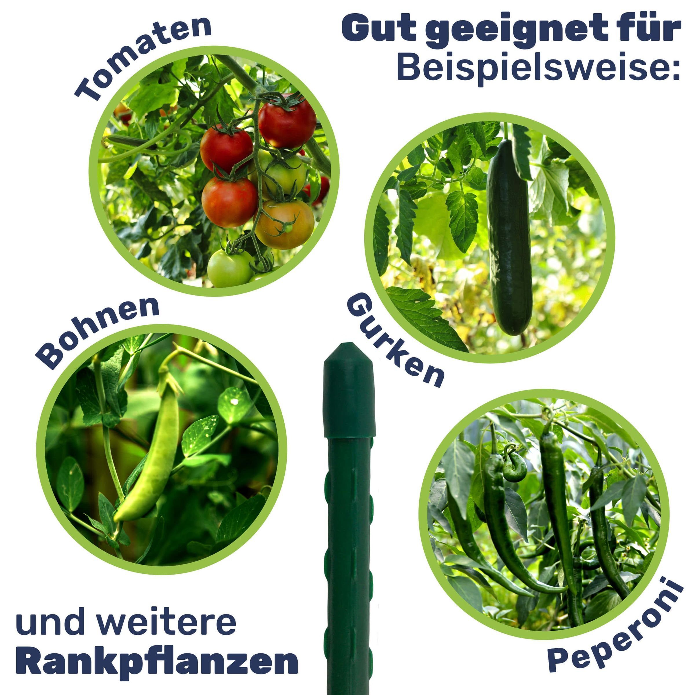 Gravidus Rankhilfe Pflanzstab Rankhilfe Stahl mit günstig online kaufen