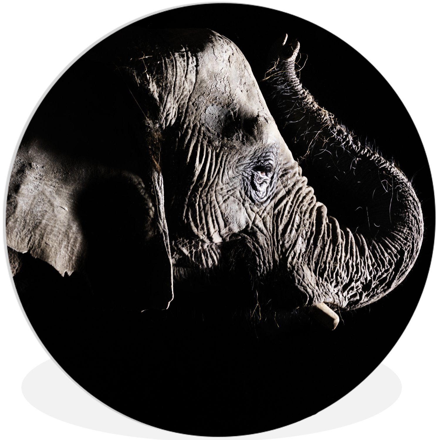 Kreis Wanddekoration MuchoWow cm (1 Elefant Tiere - Natur, - St), Schwarz Wandbild, 30x30 Wohnzimmer, - Forex, Rundes Gemälde
