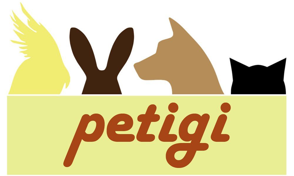 Petigi