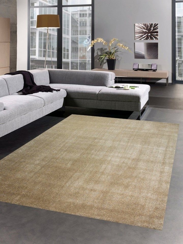 Teppich Moderner Teppich Wohnzimmerteppich uni einfarbig taupe braun,  Carpetia, rechteckig, Höhe: 17 mm