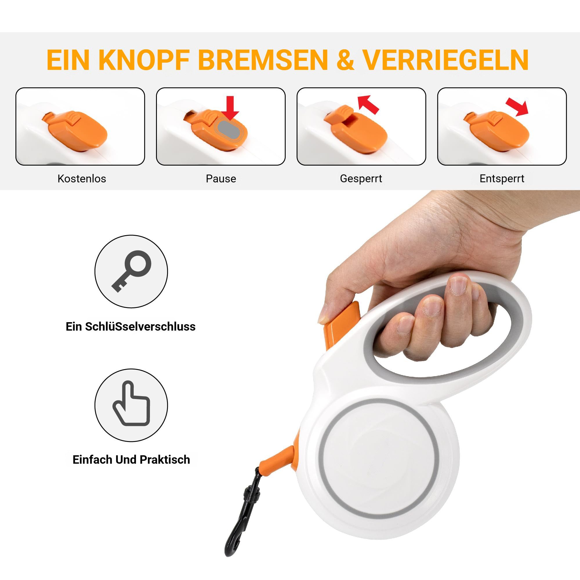 Tekoo Rollleine Hundeleine 5m Gurtband, Reflektierend & Ausziehbar, (Packung), Reflektierendes Gurtband, Verdrehfreier 360° Haken