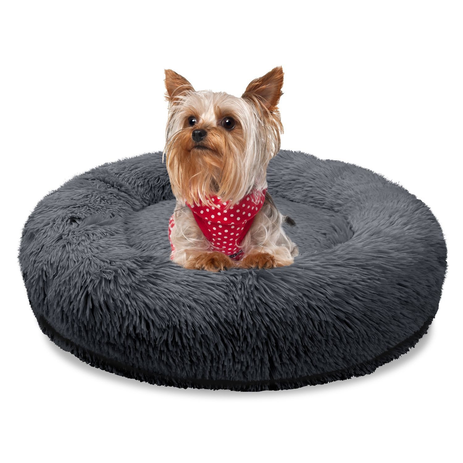 Bluzelle Tierbett Hundebett Orthopädisch 50 cm günstig online kaufen
