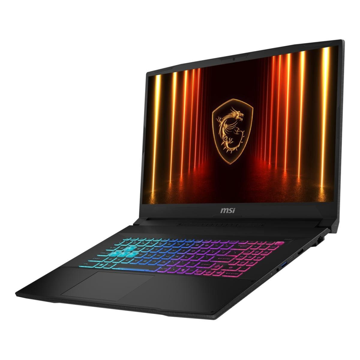 MSI Katana 17 HX B14WGK-240 Gaming-Notebook (43.94 cm/17.3 Zoll, Intel Core i7 14650HX, RTX 5070, 1000 GB SSD)