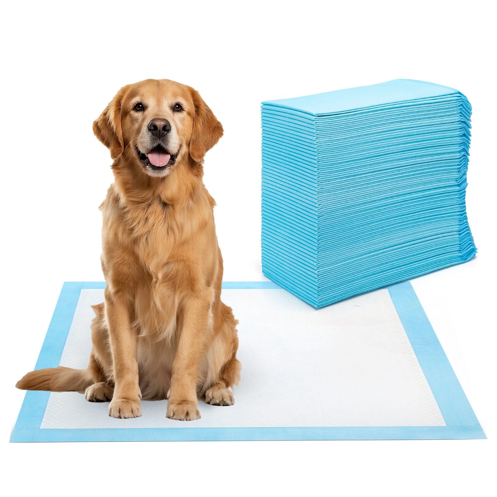 nobleza Hundewindel Trainingspads für Hunde und Welpen, Pipi Matten für Hunde