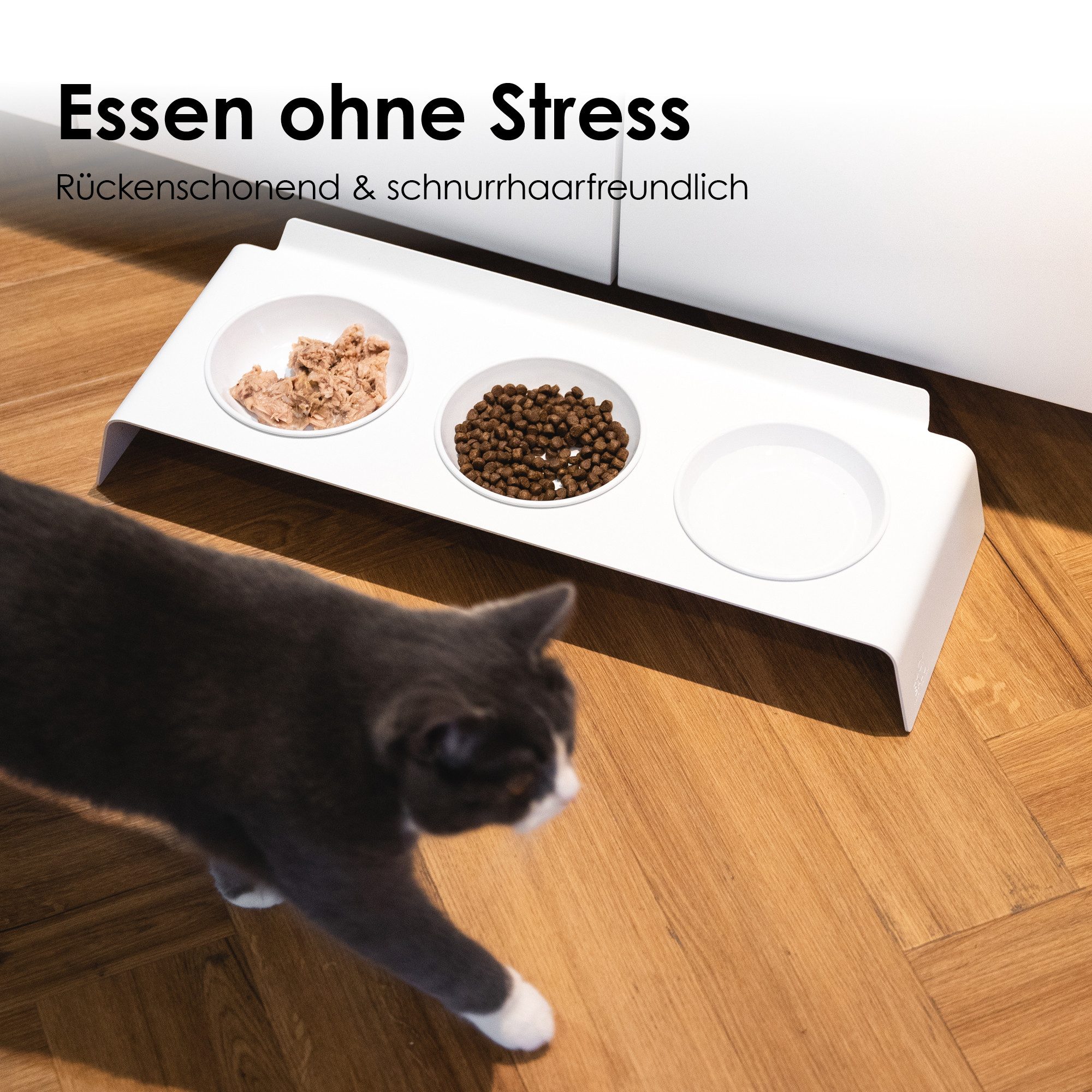 LucyBalu Katzen-Futterspender Erhöhter 3er Napfständer für Katzen BUFFET, S günstig online kaufen