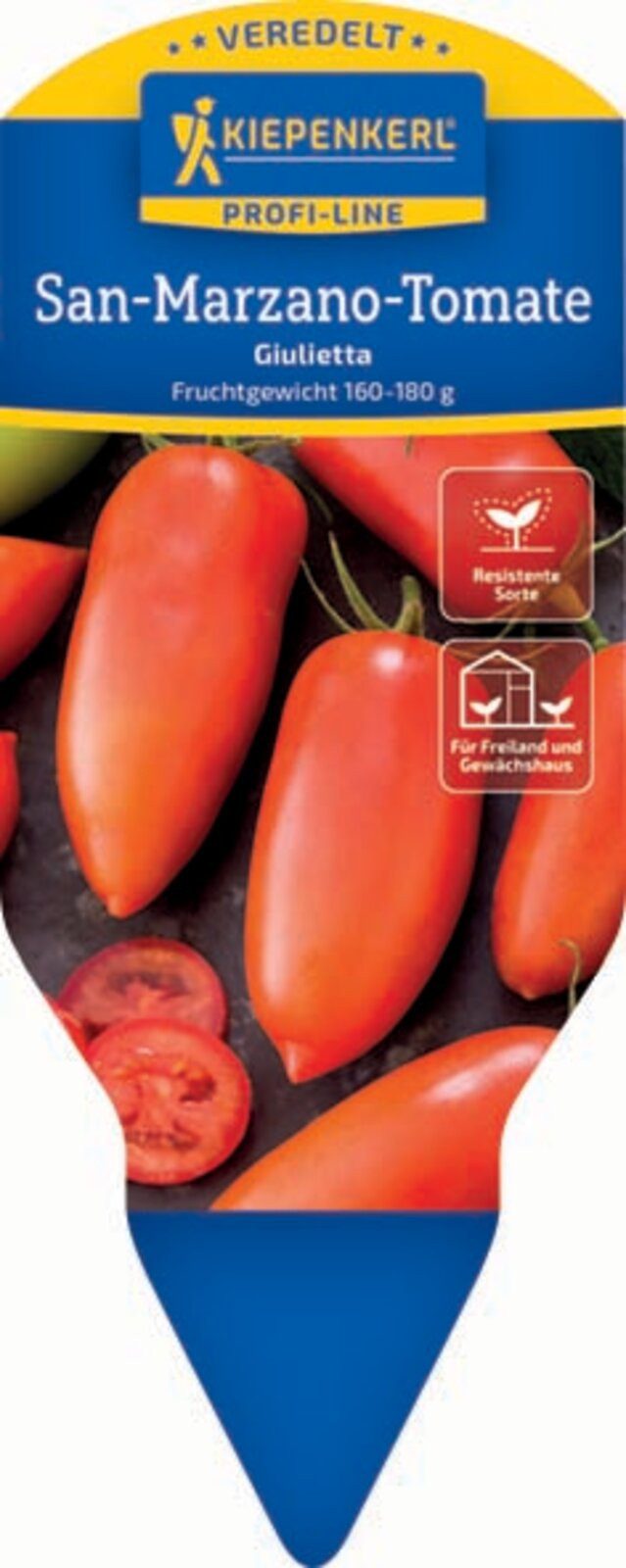 Pflanzen für Dich Gemüsepflanze San-Marzano-Tomate Giulietta veredelt F1 12cm Topf