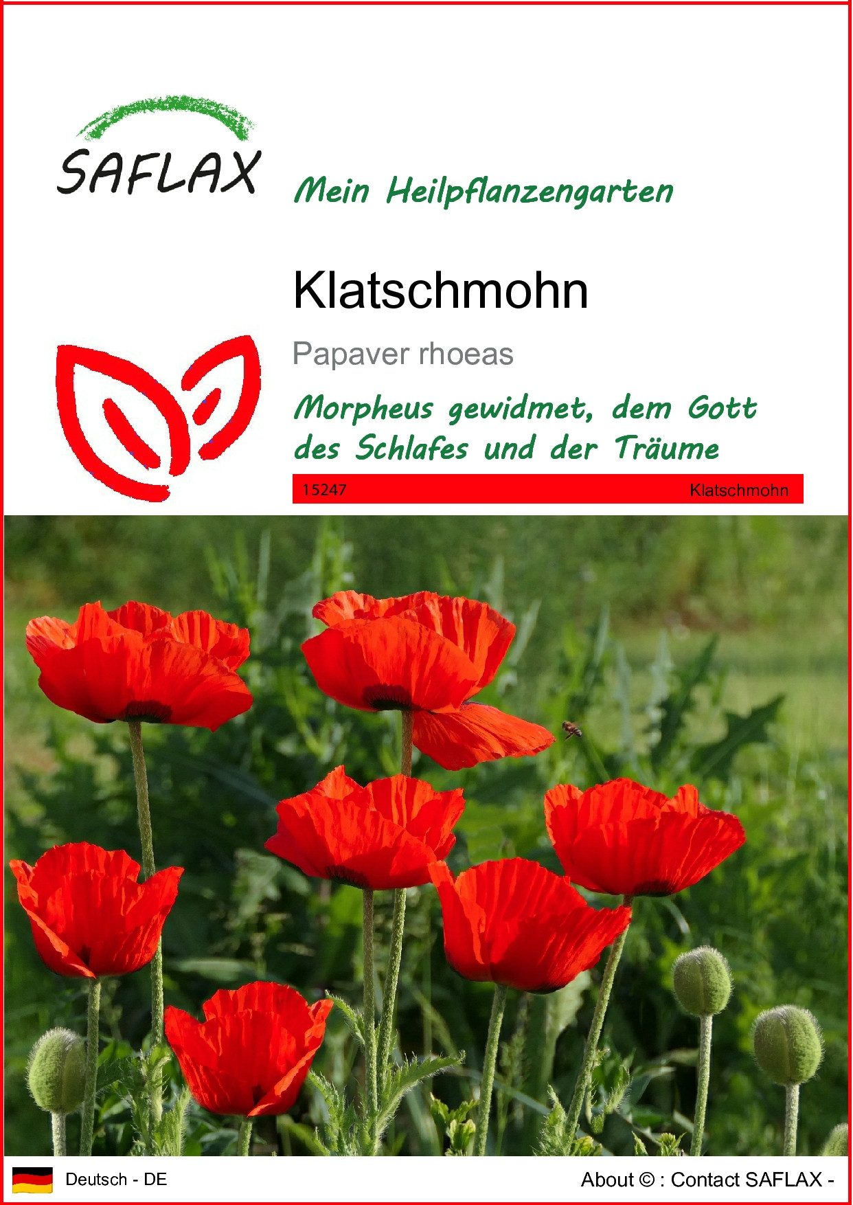 Blumensamen SAFLAX - Samen - Klatschmohn