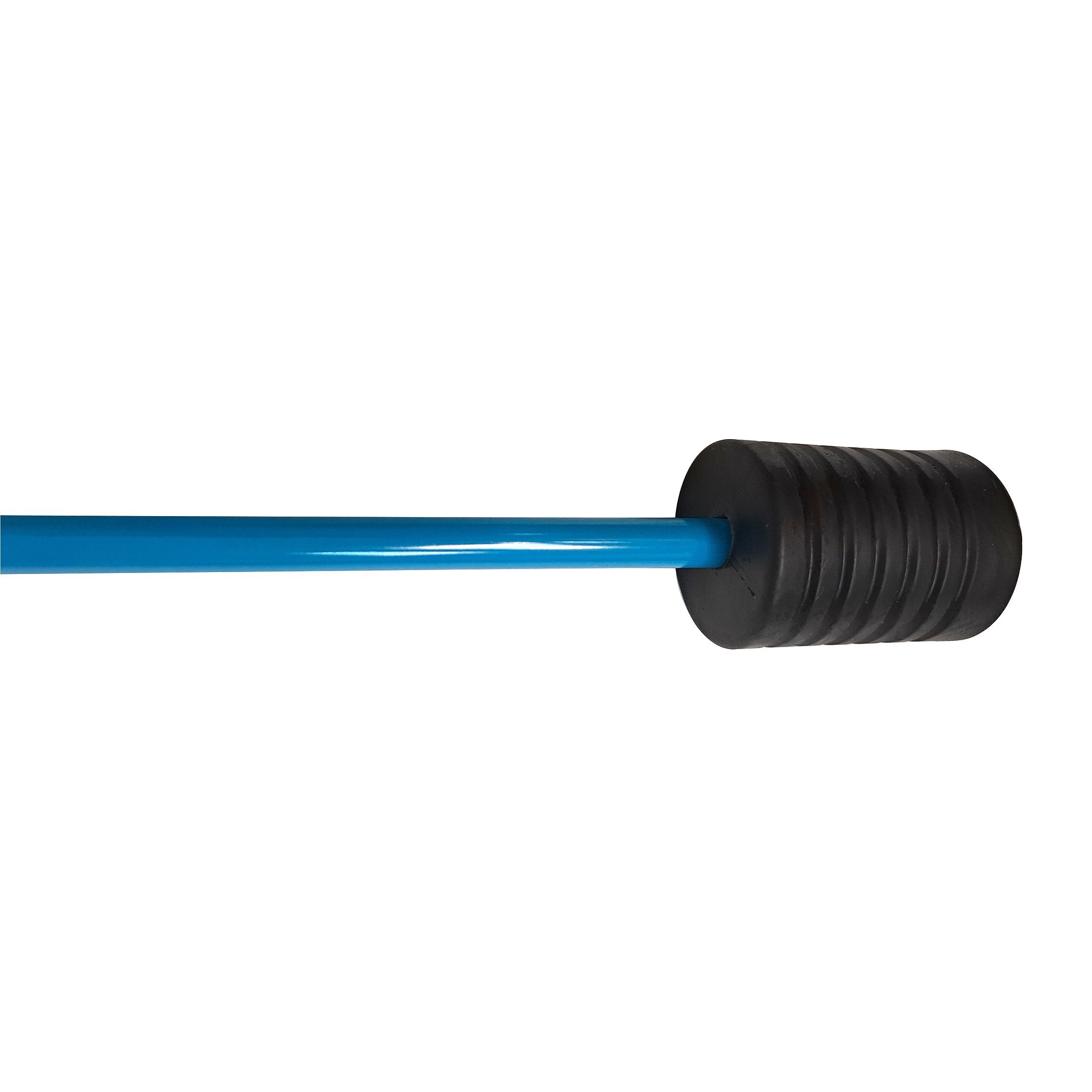 FlexiFlexi Swingstick 1-St) (1, Carromco Schwingstab, himmelblau Push,