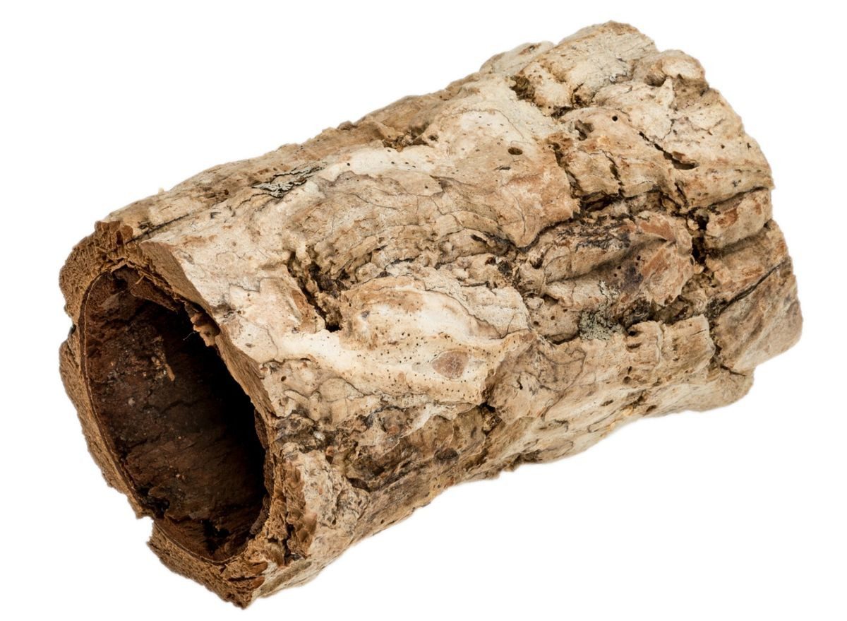 Bastelnaturmaterial Korkeiche "Mini", Länge ca. 10 cm, Durchmesser 5 bis 9 cm Korkröhre