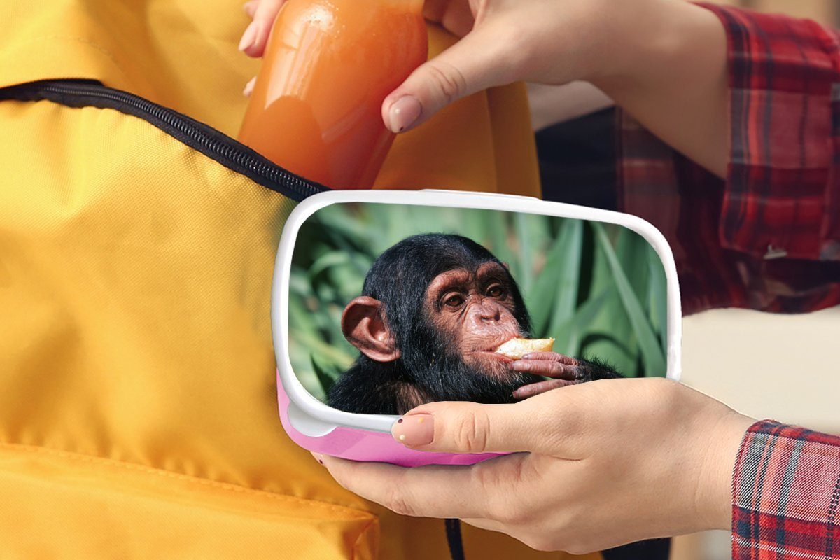 Mädchen, Lunchbox Kunststoff Brotdose für rosa Schimpansen-Affe, Erwachsene, essender Brotbox Kinder, Snackbox, MuchoWow Kunststoff, Nahaufnahme (2-tlg),